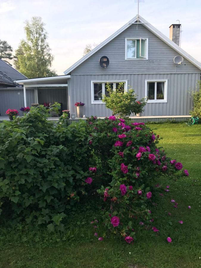 Villa Daga Vidsel Bagian luar foto